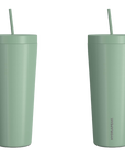 Hydrapeak Traveler Tumbler w/ Straw Lid